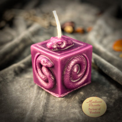Snake of Transformation Candle Spell Kit - Renewal & Personal Growth